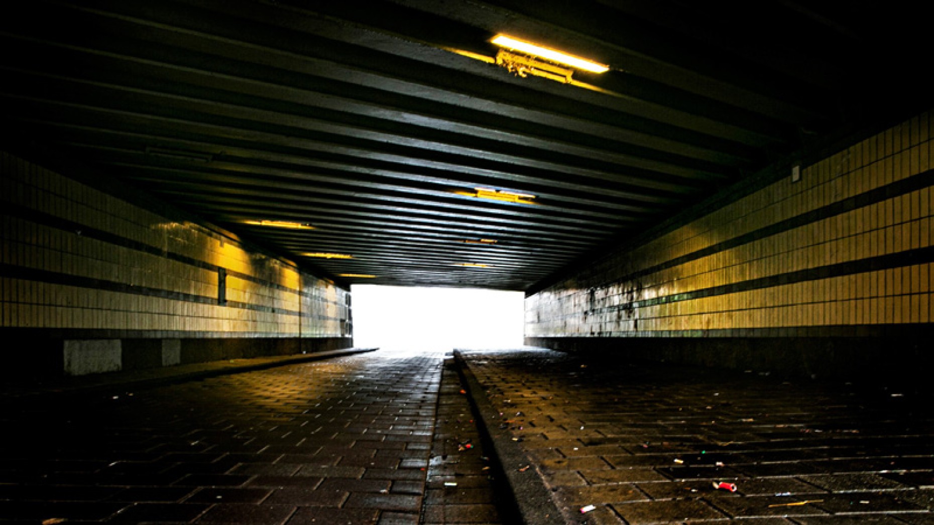 Tunnel Linnaeuskade